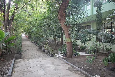 HUTAN SEKOLAH