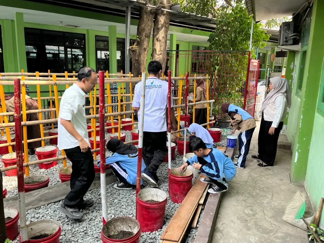 MENANAM SEMANGKA DI POT 